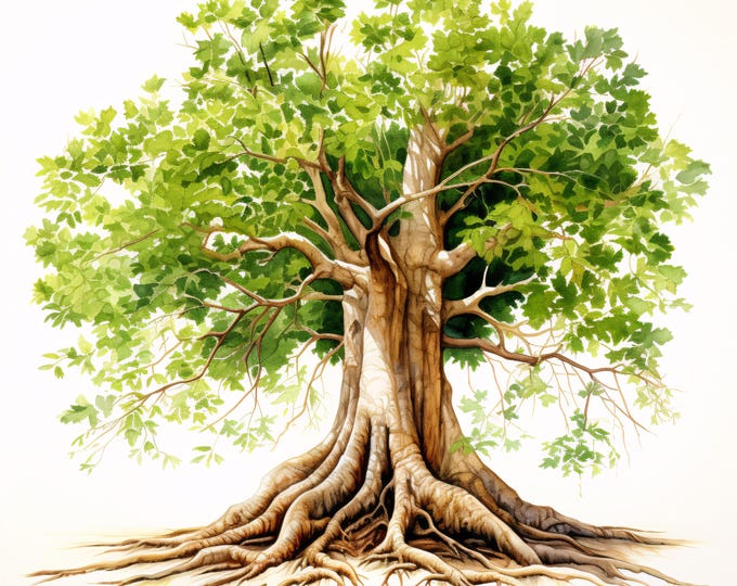 Tree with Roots Clipart, Big Oak Tree Images, 10 Watercolor Clip Art, Printable JPGs, Instant Download, Commercial Use, Paper craft