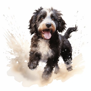 Portuguese Water Dog Watercolor Clipart: 10 JPG Images (Commercial Use)