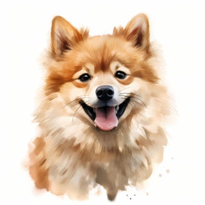 Clipart Duitse spits, puppy hond afbeeldingen, 10 aquarel illustraties, afdrukbare JPG's, Instant Download, Commercieel gebruik, Papercraft