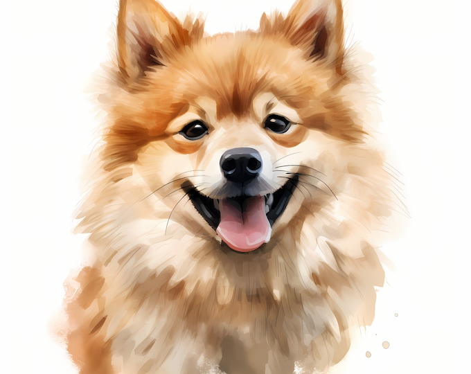 German Spitz Clipart, Puppy Dog Images, 10 Watercolor Clip Art, Printable JPGs, Instant Download, Commercial Use, Paper craft