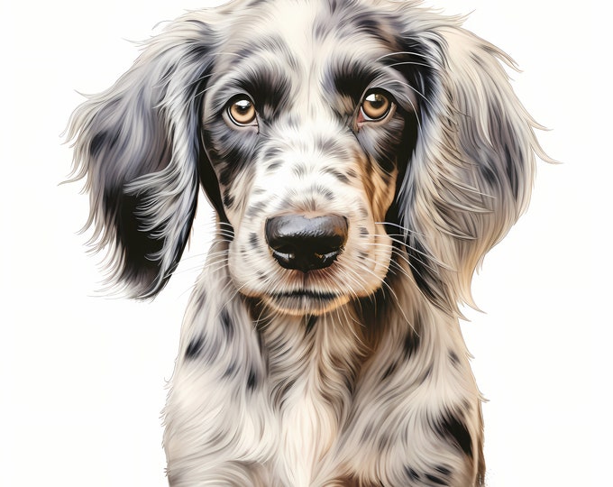 English Setter Clipart, Puppy Dog Images, 10 Watercolor Clip Art, Printable JPGs, Instant Download, Commercial Use, Laverack, Lawerack