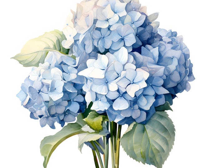 Hydrangea Bouquet Clipart, Blue Hydrangea Images, 10 Watercolor Clip Art, Printable JPGs, Instant Download, Commercial Use, Paper craft