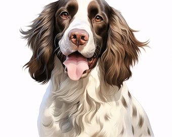 Watercolor English Springer Spaniel Clipart: Dog Breed Art (JPGs, Commercial Use)