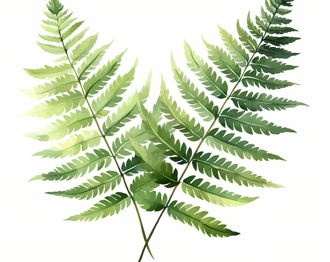 Fern Leaves Clipart, Forest Fern Leaves Images, 10 Watercolor Clip Art, Printable JPGs, Instant Download, Commercial Use, Paper craft