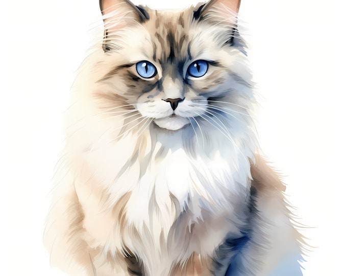 Ragdoll Cat Clipart, Ragdoll Cat Images, 10 Watercolor Clip Art, Printable JPGs, Instant Download, Commercial Use, Paper craft