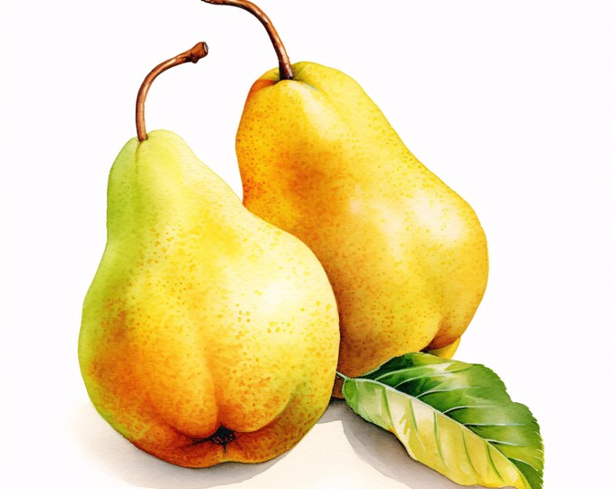 Sweet Pears Clipart, Pear Fruit Images, 10 Watercolor Clip Art, Printable JPGs, Instant Download, Commercial Use, Paper craft