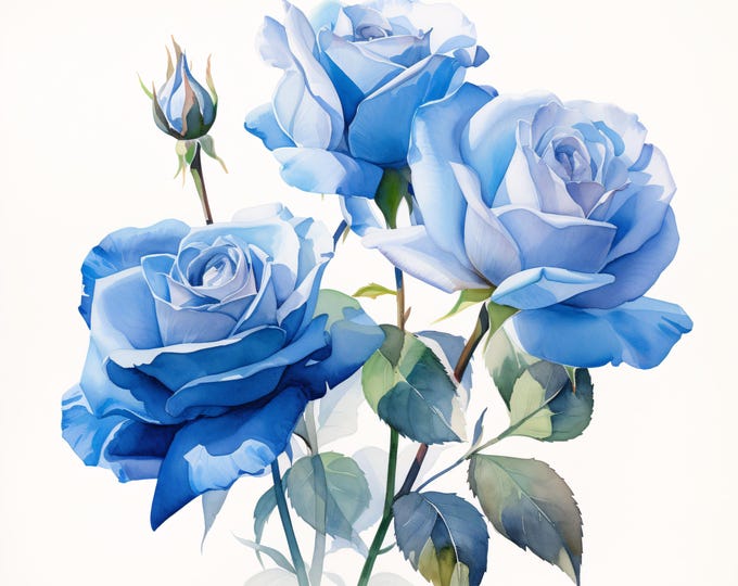 Blue Watercolor Roses Clipart: Floral JPG Images for Commercial Use (Digital Download 4096x4096px)