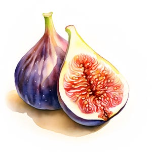 Figs Clipart, Fig with Leaves Images, 10 Watercolor Clip Art, Printable JPGs, Instant Download, Commercial Use, Paper craft