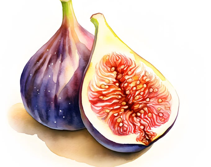 Figs Clipart, Fig with Leaves Images, 10 Watercolor Clip Art, Printable JPGs, Instant Download, Commercial Use, Paper craft