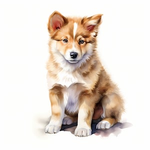 Clipart di cane da pastore islandese, immagini di cuccioli di cane, 10 clipart ad acquerello, JPG stampabili, download istantaneo, uso commerciale, creazione di carta