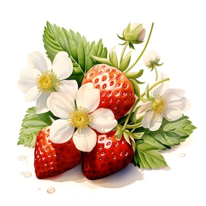 Strawberry Clipart, Strawberry With Blossom Images, 10 Watercolor Clip Art, Printable JPGs, Instant Download, Commercial Use, Paper craft