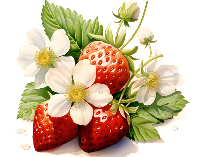 Strawberry Clipart, Strawberry With Blossom Images, 10 Watercolor Clip Art, Printable JPGs, Instant Download, Commercial Use, Paper craft