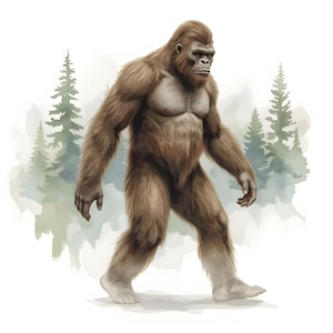May include: An illustration of a Bigfoot creature walking. The creature is depicted with brown fur and a lighter chest and face. The background shows a watercolour-style forest with green and grey trees.