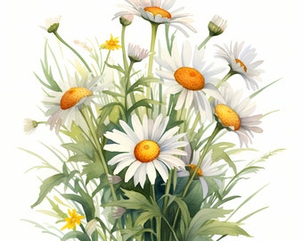 Watercolor Daisy Clipart: Floral Bouquet Images (JPG, Commercial Use)