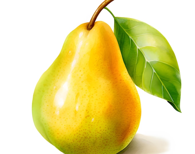 Pear Fruit Clipart, Pear with Leaves Images, 10 Watercolor Clip Art, Printable JPGs, Instant Download, Commercial Use, Paper craft