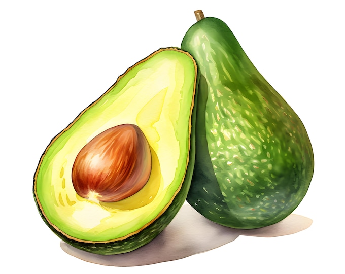 Avocado Clipart, Avocado Images, 10 Watercolor Clip Art, Printable JPGs, Instant Download, Commercial Use, Paper craft