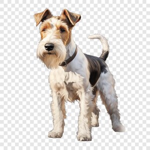 May include: A wire fox terrier dog with a white, tan, and black coat stands in a profile view. The dog has a wiry, textured face with a black nose and wears a simple brown leather collar around its neck. Its tail is held upright and alert.
