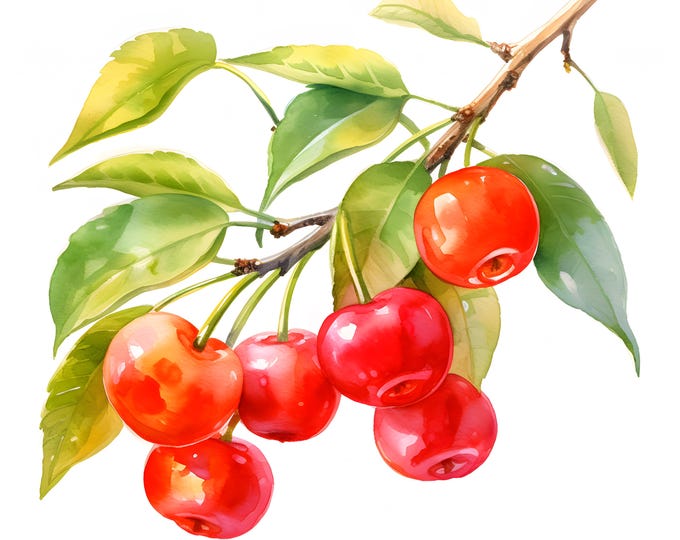 Acerola Berries Clipart, Acerola Cherry Images, 10 Watercolor Clip Art, Printable JPGs, Instant Download, Commercial Use, Paper craft