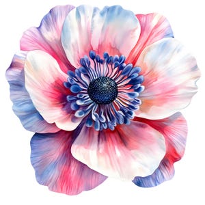 Anemone Clipart, Colourful Flower Images, 10 Watercolor Clip Art, Printable JPGs, Instant Download, Commercial Use, Paper craft