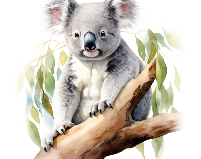 Koala Clipart, Koala on Tree Images, 10 Watercolor Clip Art, Printable JPGs, Instant Download, Commercial Use, Paper craft