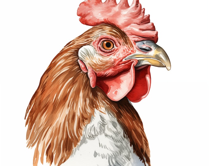 Chicken Clipart, Chicken Images, 14 Watercolor Clip Art, Printable JPGs, Instant Download, Commercial Use, Paper craft