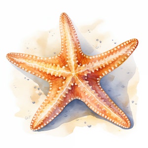 Starfish clipart, Star Fish afbeeldingen, 10 aquarel illustraties, afdrukbare JPG's, Instant Download, Commercieel gebruik, Papercraft