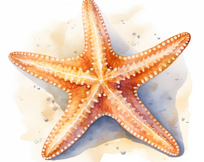 Starfish Clipart, Star Fish Images, 10 Watercolor Clip Art, Printable JPGs, Instant Download, Commercial Use, Paper craft