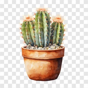 10 PNG de cactus en maceta, imágenes prediseñadas de cactus, imágenes prediseñadas de acuarela, descarga instantánea, uso comercial, manualidades de papel