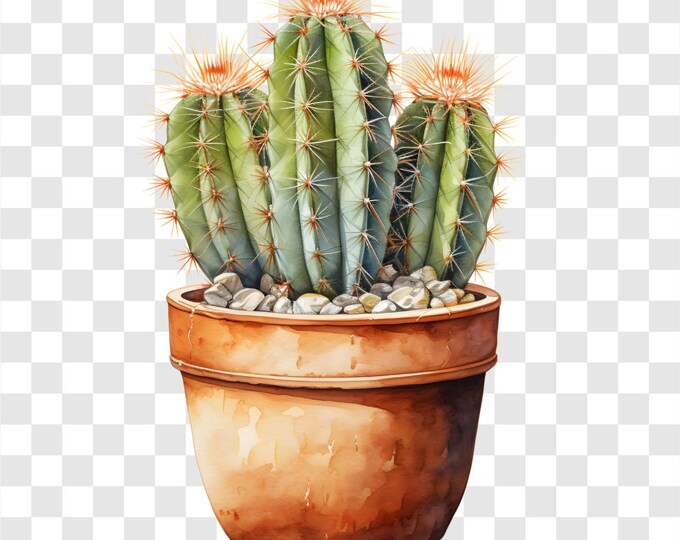 10 PNG Potted Cactus, Cactus Clipart, Watercolor Clip Art, Instant Download, Commercial Use, Paper craft