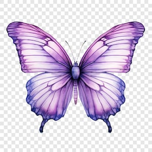 May include: A symmetrical butterfly illustration featuring expansive wings in shades of light and deep purple. The wings display intricate dark veining patterns, while the central body is slender and colored in a matching purple tone with two thin antennae.