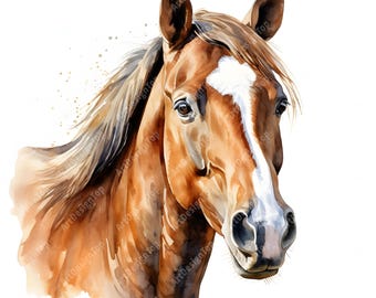 馬のクリップアート、馬の画像、水彩画のクリップアート10点、印刷可能