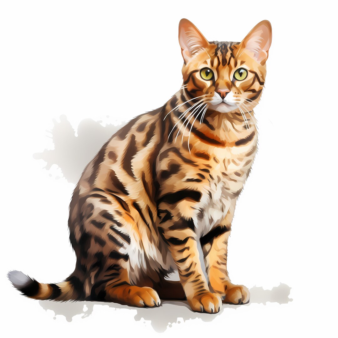 Bengal Cat Clipart, Bengal Kitten Images, 10 Watercolor Clip Art ...