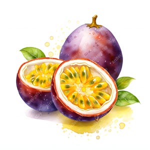 Imágenes de maracuyá, imágenes de frutas tropicales, 10 imágenes prediseñadas de acuarela, archivos JPG imprimibles, descarga instantánea, uso comercial, manualidades de papel