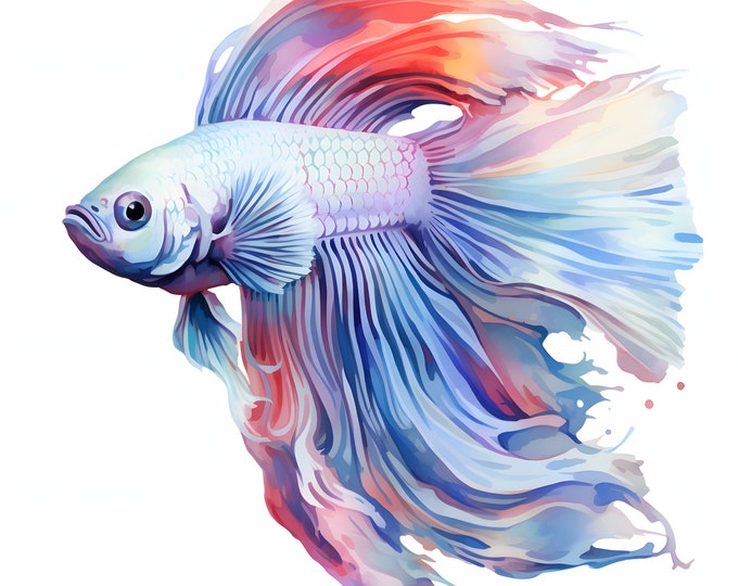 Betta Fish Clipart, Aquarium Fishes Images, 10 Watercolor Clip Art, Printable JPGs, Instant Download, Commercial Use, Paper craft
