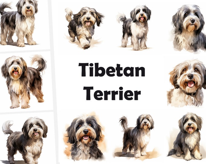 Tibetan Terrier Dog Clipart, Terrier Dog Images, 10 Watercolor Clip Art, Printable JPGs, Instant Download, Commercial Use, Paper craft