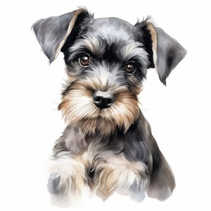 Schnauzer Clipart, Puppy Dog Images, 10 Watercolor Clip Art, Printable JPGs, Instant Download, Commercial Use, Paper craft