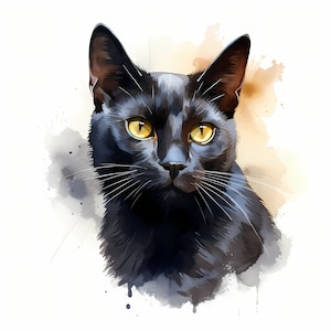 Clipart Bombay Cat, afbeeldingen zwarte kitten, 10 aquarel illustraties, afdrukbare JPG's, Instant Download, Commercieel gebruik, Papercraft