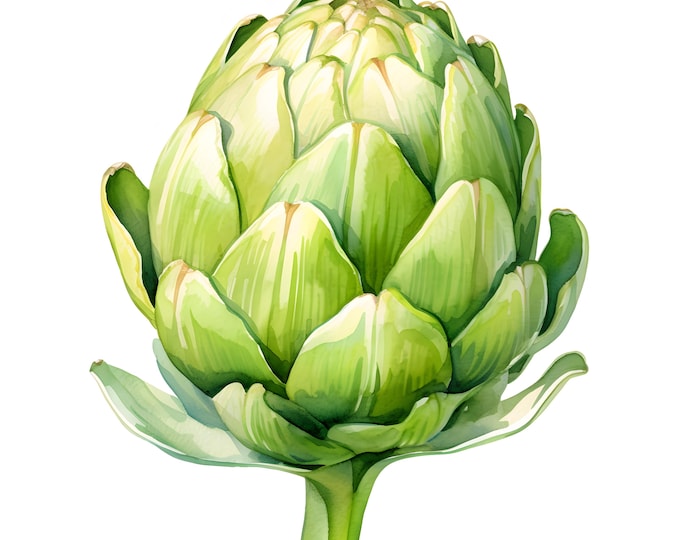 Artichoke Clipart, Artichoke Vegetables Images, 10 Watercolor Clip Art, Printable JPGs, Instant Download, Commercial Use, Paper craft