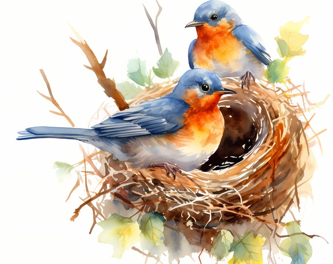 Birds in Nest Clipart, Bird House Images, 10 Watercolor Clip Art, Printable JPGs, Instant Download, Commercial Use, Paper craft, Bird Nest