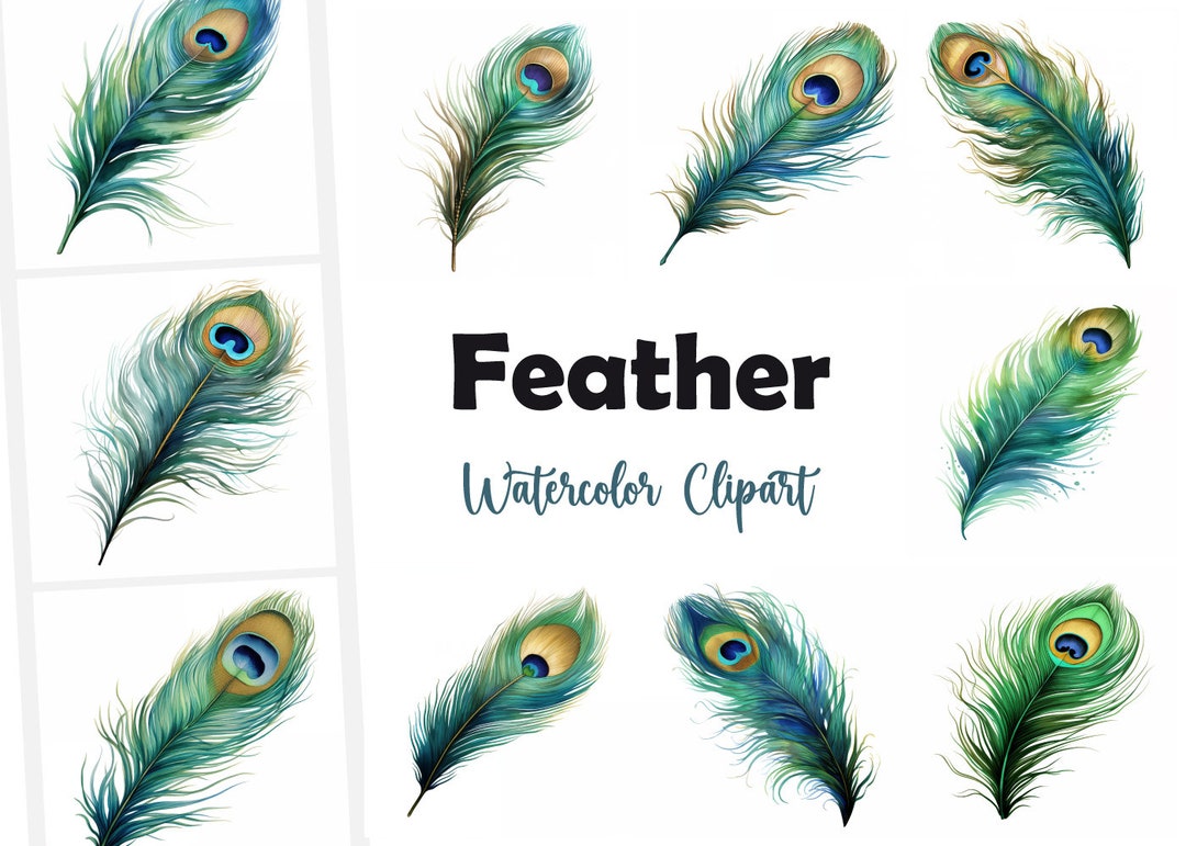 Peacock Feather Clipart, Peacock Feathers Images, 10 Watercolor Clip ...