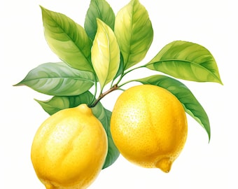 Lemons Clipart, Fresh Citrus Images, 10 Watercolor Clip Art, Printable JPGs, Instant Download, Commercial Use, Paper craft