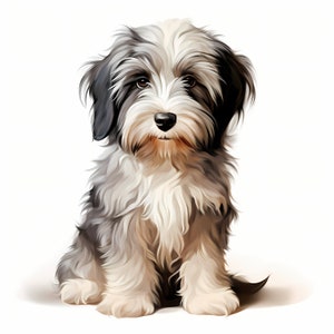 Imágenes prediseñadas de perro terrier tibetano, imágenes de cachorros, 10 imágenes prediseñadas de acuarela, archivos JPG imprimibles, descarga instantánea, uso comercial, manualidades de papel