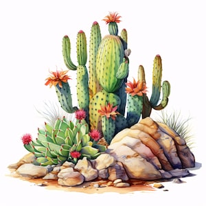 Watercolor Cactus Clipart: Desert Landscape Images (JPGs, Instant Download)