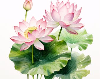 24 蓮のクリップアート、睡蓮のアート、花のグラフィック、植物の