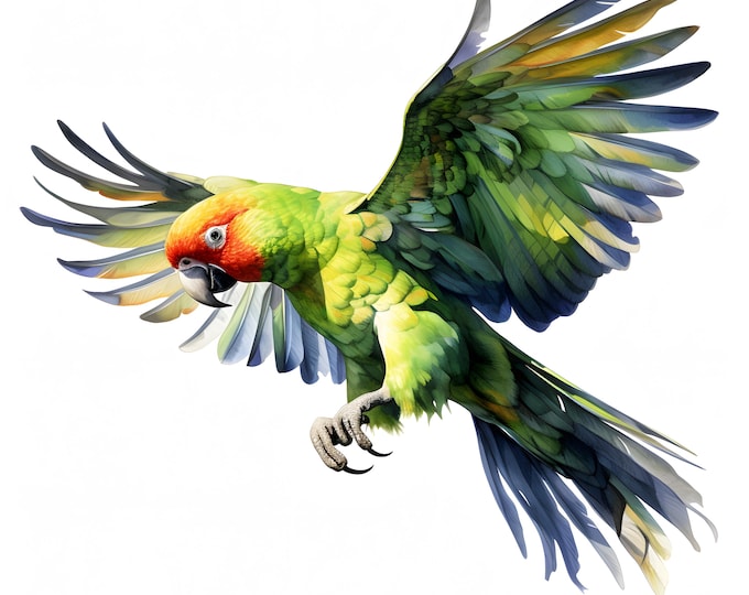 Parrot Clipart, Colorful Parrots Images, 10 Watercolor Clip Art, Printable JPGs, Instant Download, Commercial Use, Paper craft