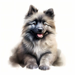 Imágenes de Keeshond, imágenes de cachorros, 10 imágenes prediseñadas de acuarela, archivos JPG imprimibles, descarga instantánea, uso comercial, manualidades de papel