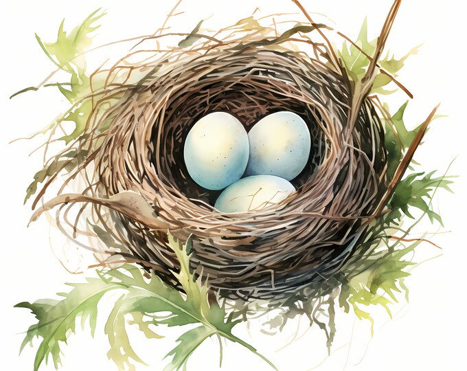 Bird Nest Clipart, Nest With Eggs Images, 10 Watercolor Clip Art, Printable JPGs, Instant Download, Commercial Use, Paper craft