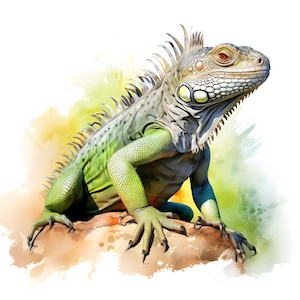 Iguana Clipart, Jaszczurki Obrazy, 10 Akwareli Clip Art, Wydrukowalne JPG, Natychmiastowe Pobieranie, Użytkowanie Komercyjne, Rękodzieło Papierowe