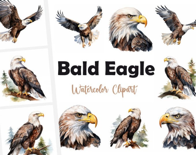 Eagle Clipart, Bald Eagle Images, 16 Watercolor Clip Art, Printable JPGs, Instant Download, Commercial Use, Paper craft