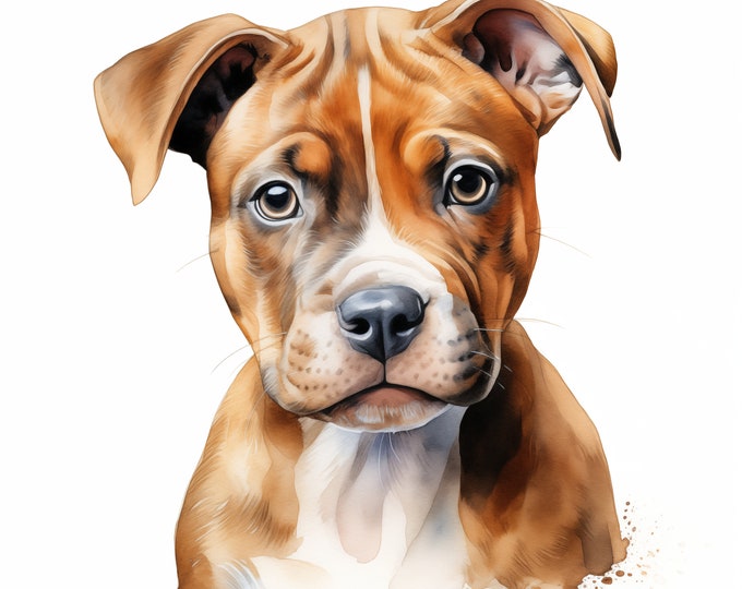 Amstaff Clipart, Puppy Dog Images, 10 Watercolor Clip Art, Printable JPGs, Instant Download, Commercial Use, American Staffordshire Terrier